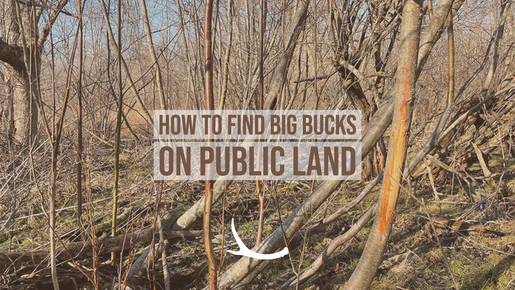 How to find Big Bucks on Public Land