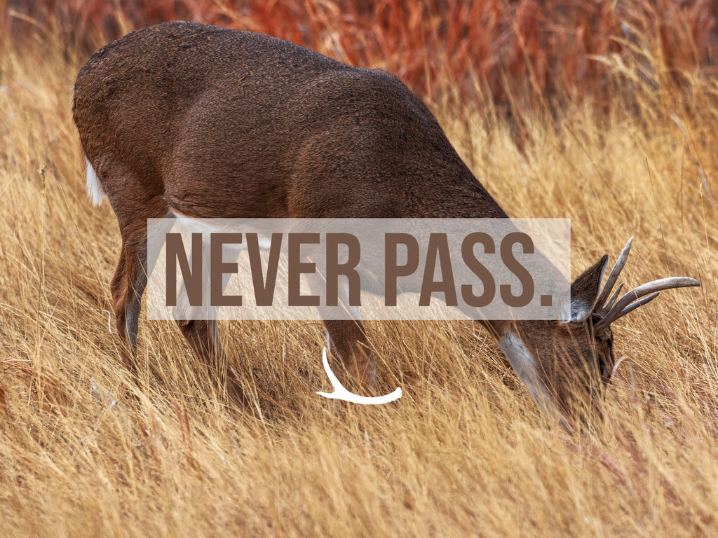 Never Pass
