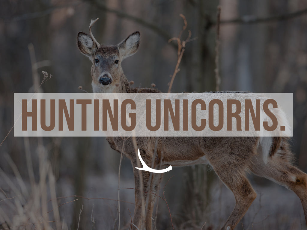 Effective Tips for Hunting Unicorns