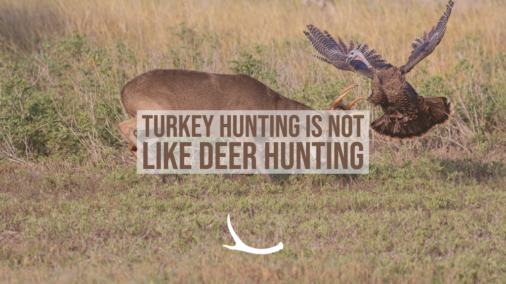Turkey hunting vs deer hunting 