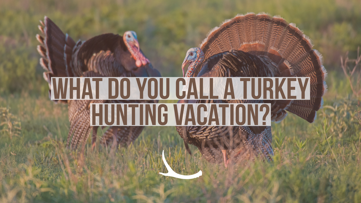What Do You Call A Turkey Hunting Vacation?