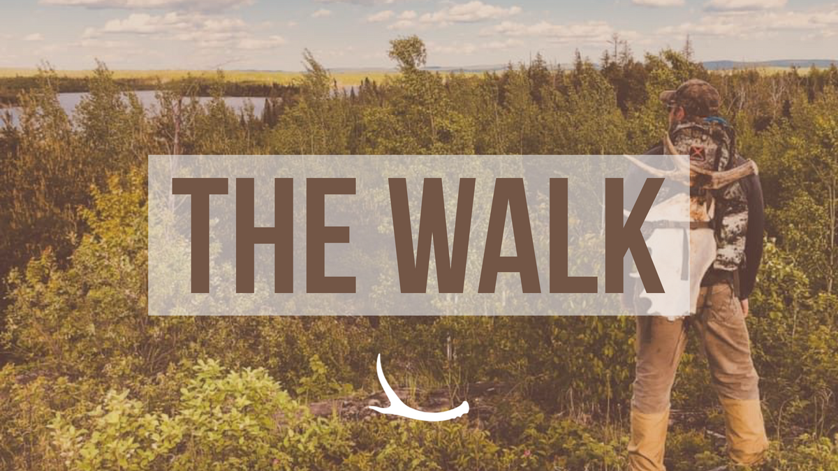 The Walk