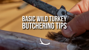 Basic wild turkey butchering tips 