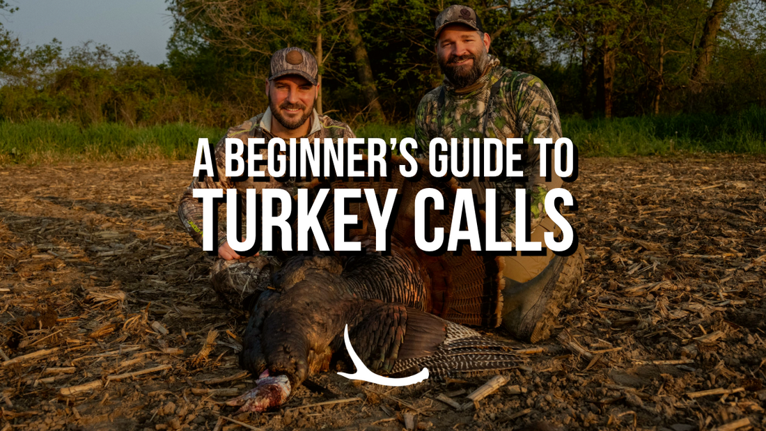 Turkey calling basics