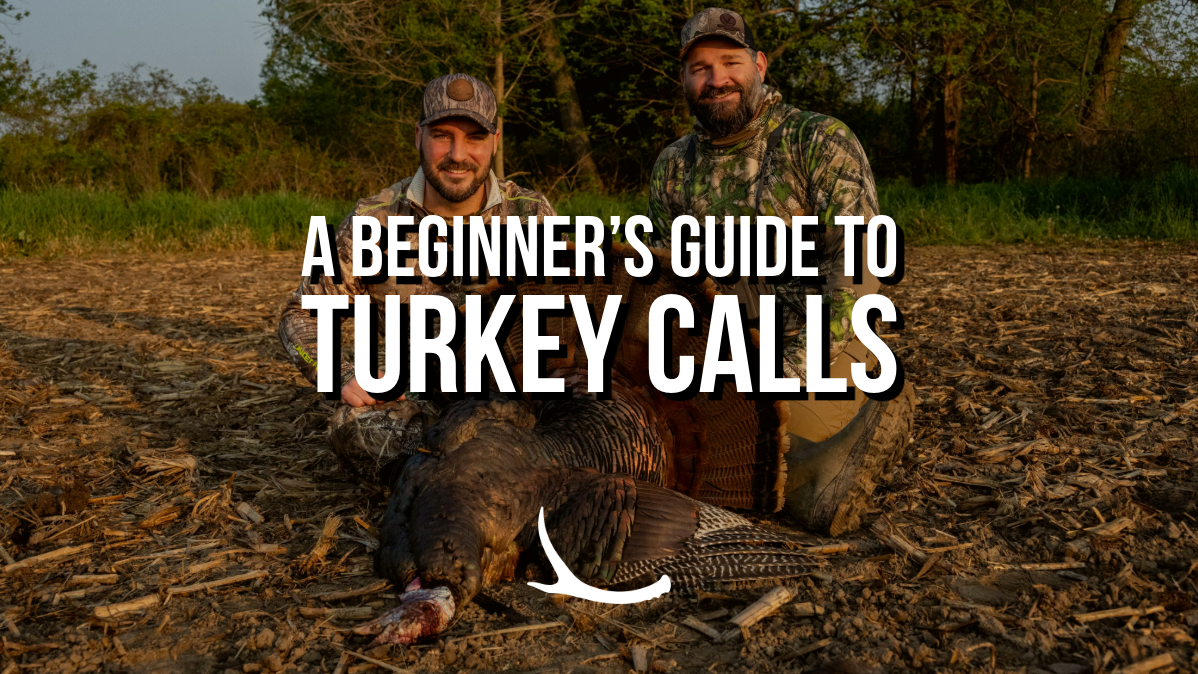Turkey calling basics