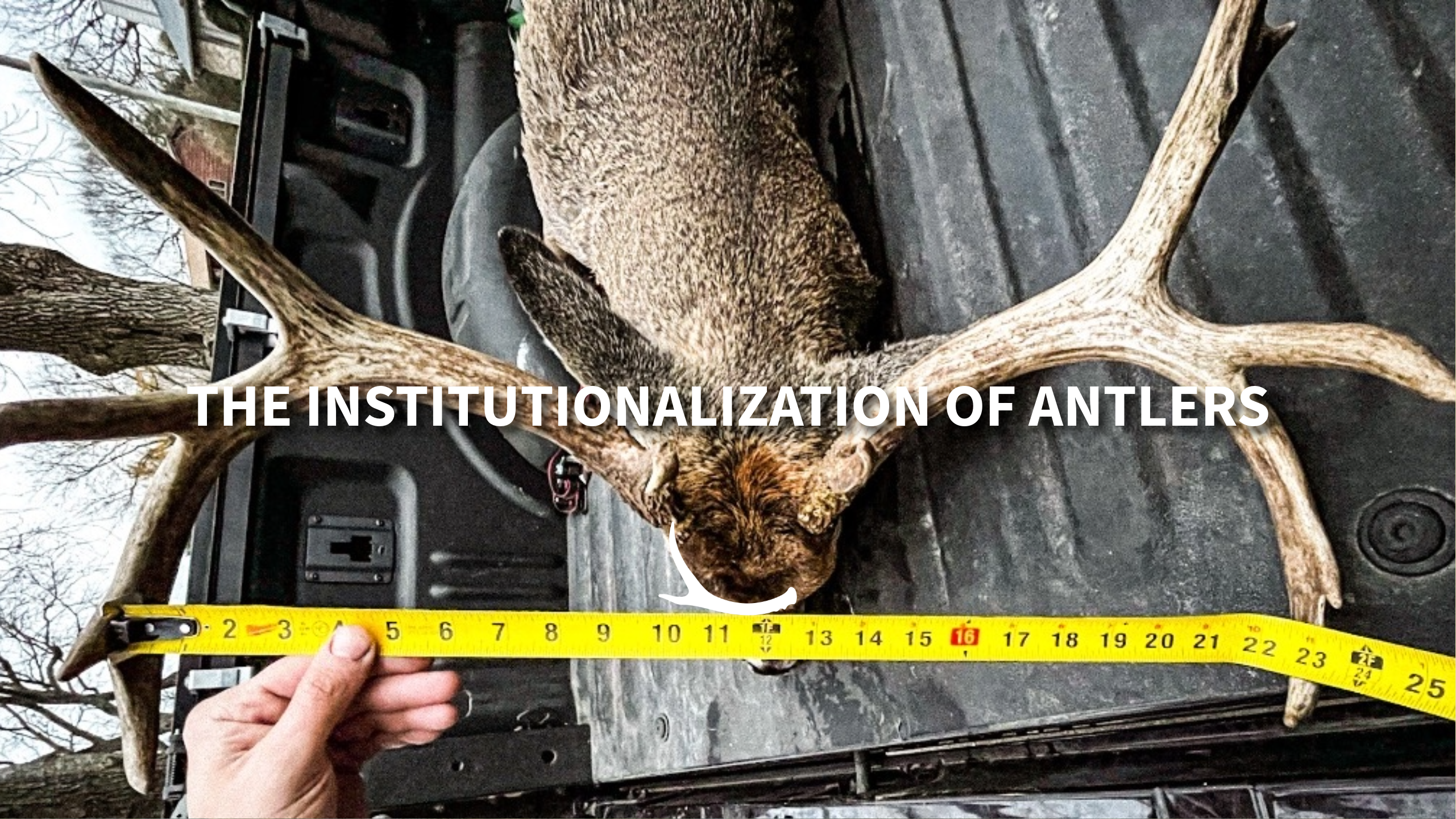 The Institutionalization of Antlers