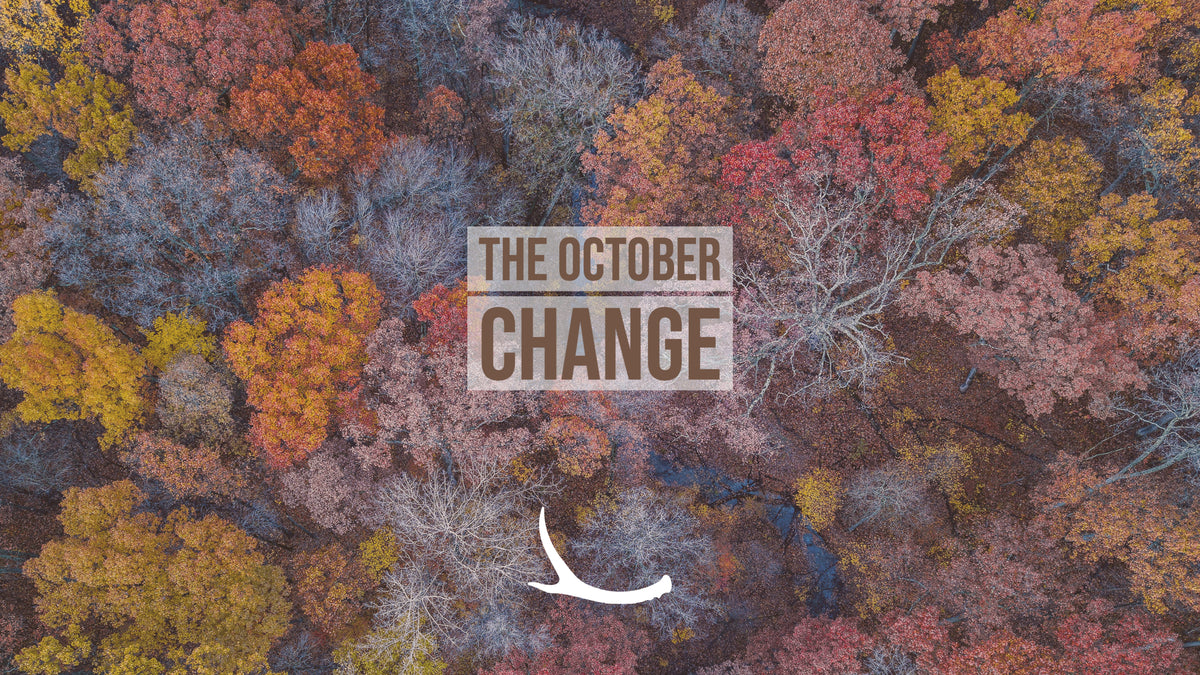 The October Change