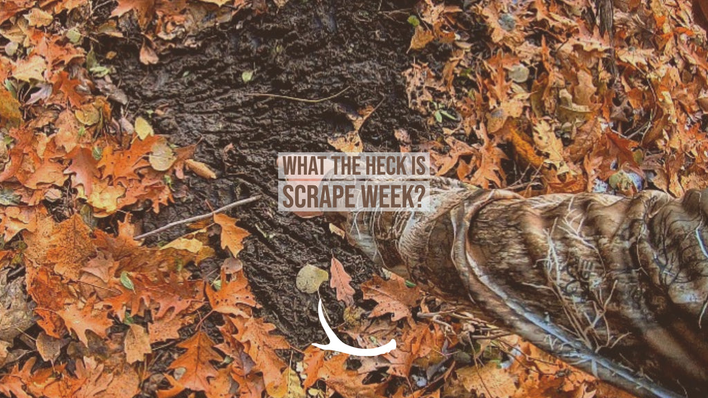 What the heck is scrape week?