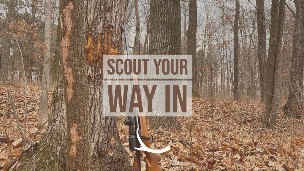 Scout your way in