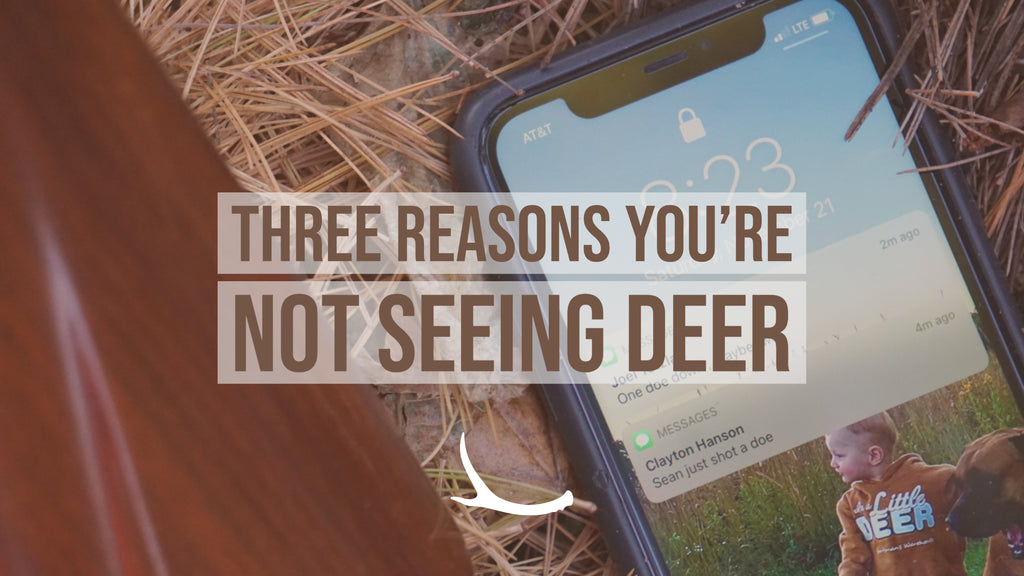 Three Reasons You're Not Seeing Deer