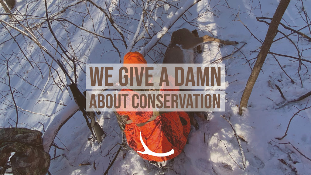 We Give a Damn About Conservation