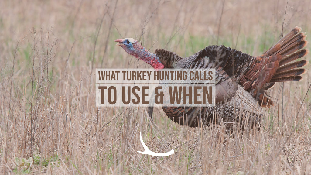 Spring Turkey Hunting Calls