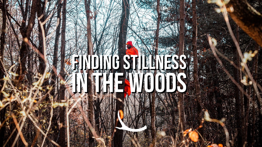 Stillness is the Key - Especially when deer hunting