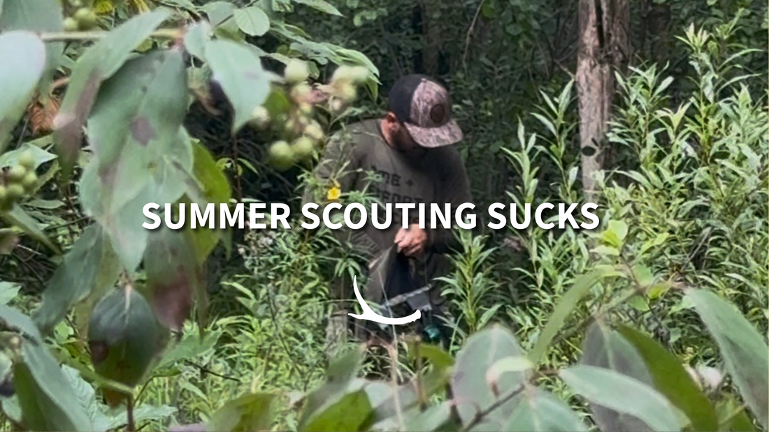 Summer Scouting for Whitetails: Find Buck Beds, Deer Sign, and Early Season Opportunities