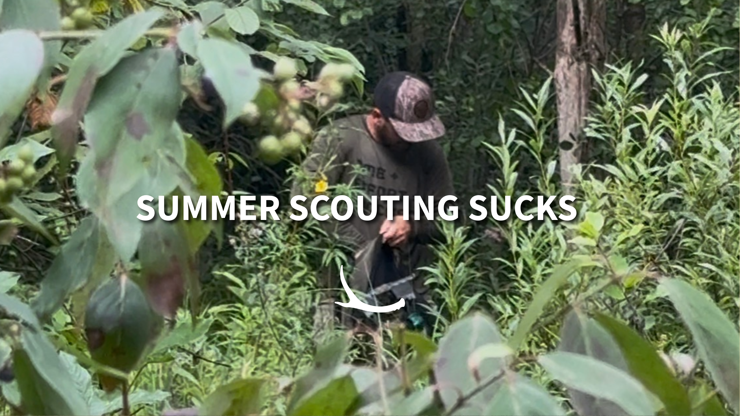 Summer Scouting for Whitetails: Find Buck Beds, Deer Sign, and Early Season Opportunities