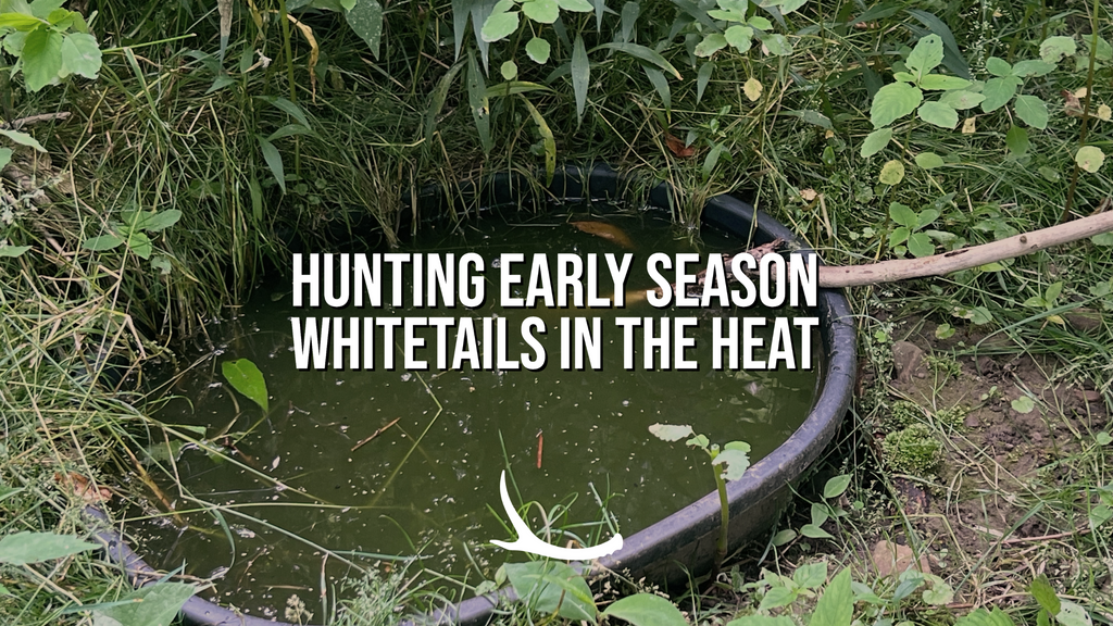 Watering holes for early season whitetails 