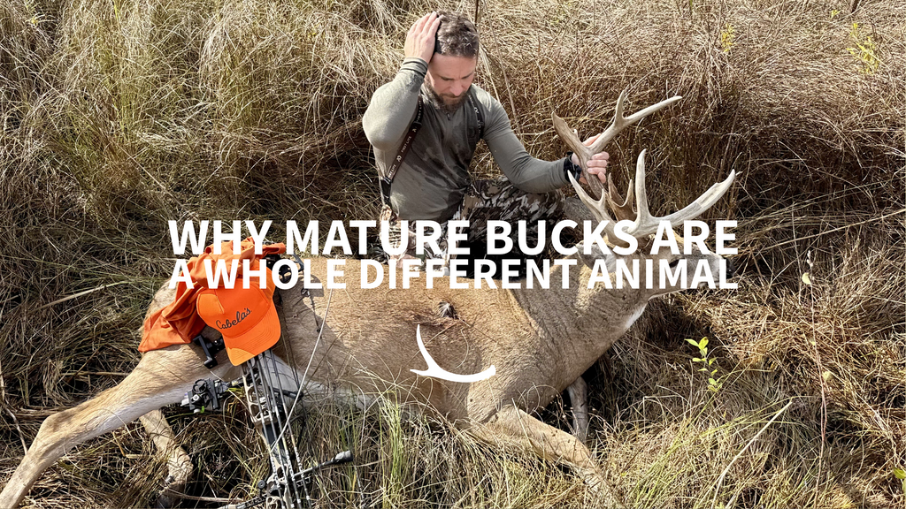 mature buck hunting is not the same as just deer hunting