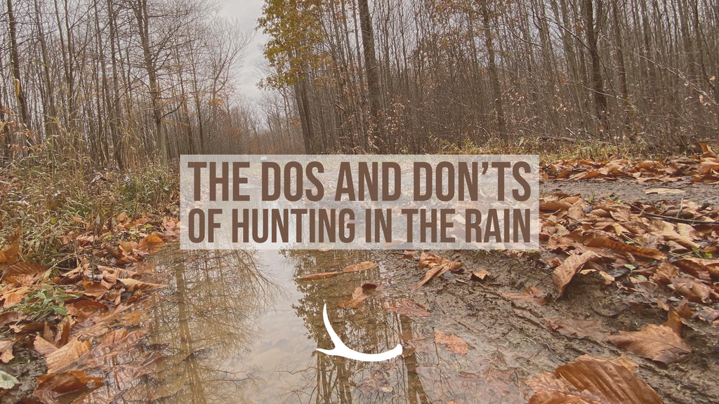 hunting before, during, and after the rain 