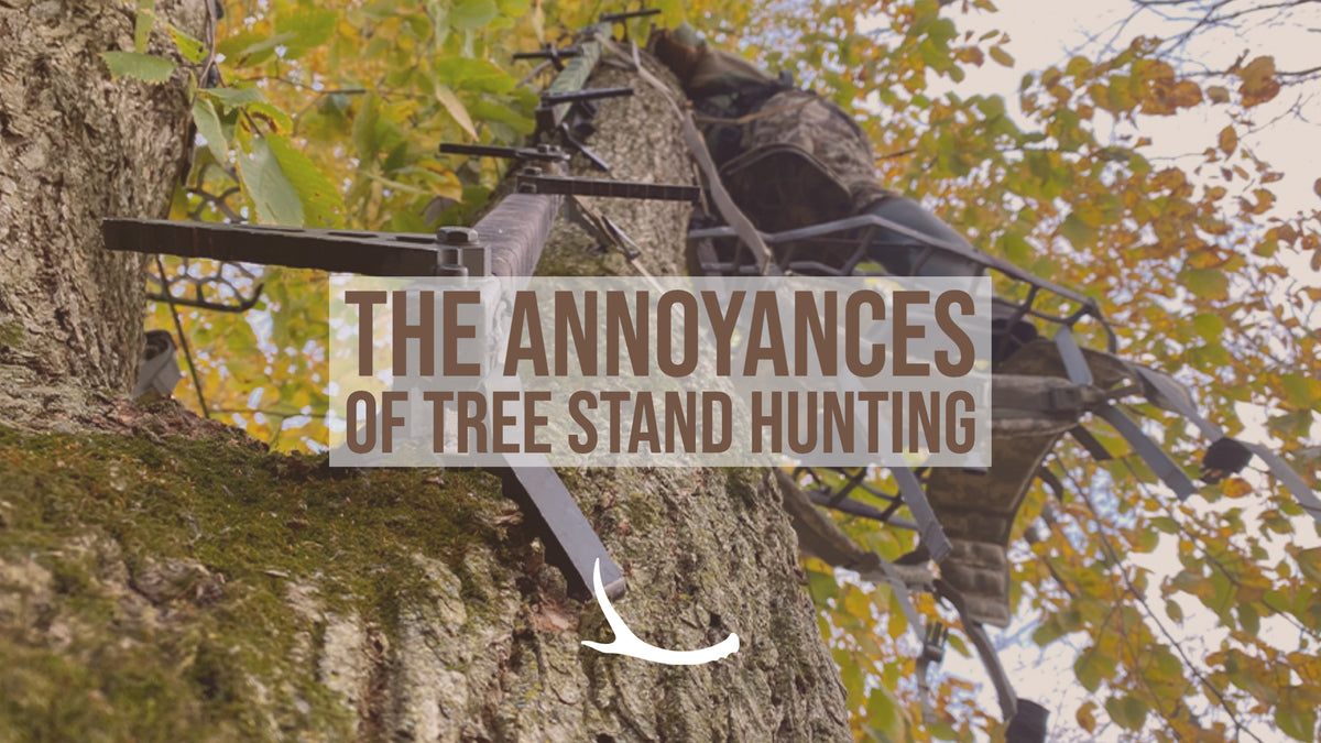 Deer hunting from a tree stand 