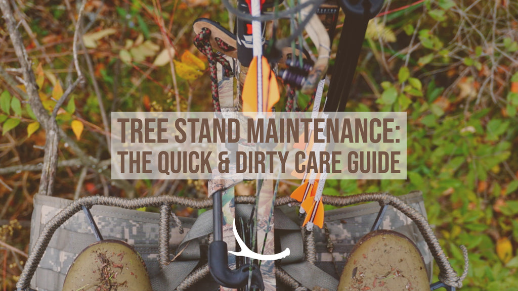 Tree Stand Maintenance: The Quick & Dirty Care Guide