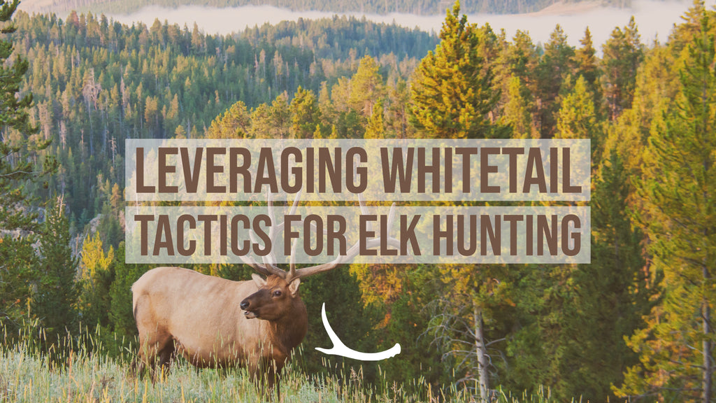 Whitetail tactics used for elk hunting 