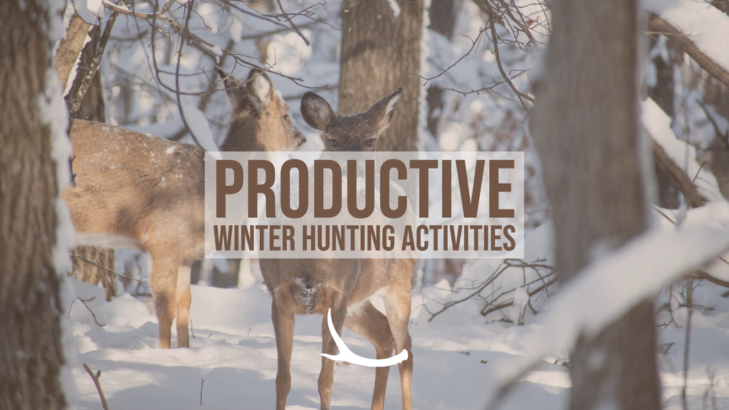 Productive Winter Hunting Activities